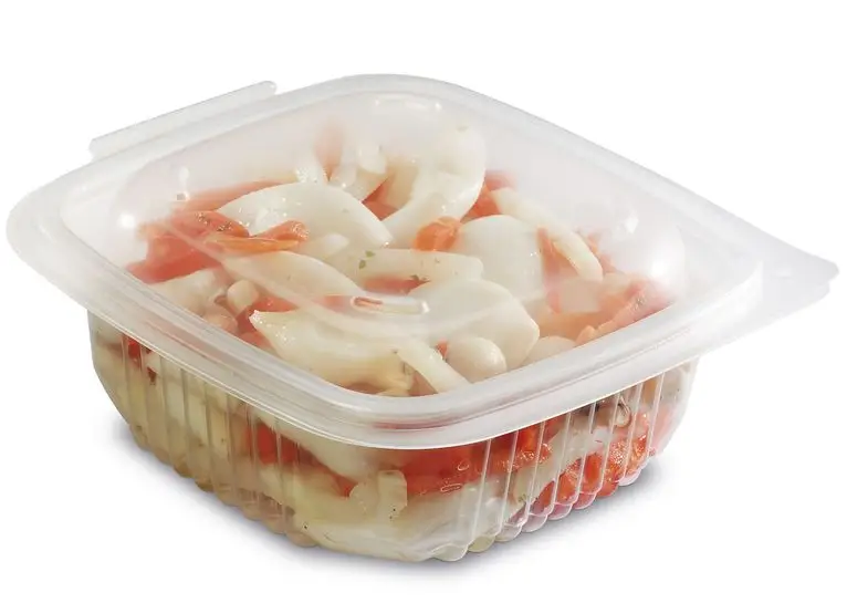 Barquettes Translucides Charniere 250cc /50