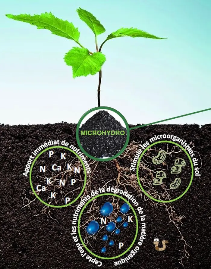 Hydro-Rétenteur MicroHydro /10kg