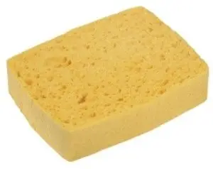 Eponge Végétale Bordée /10