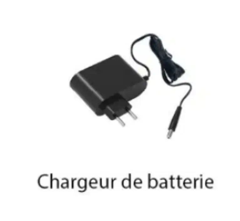 Chargeur Batterie ASpirateur Henry Quick