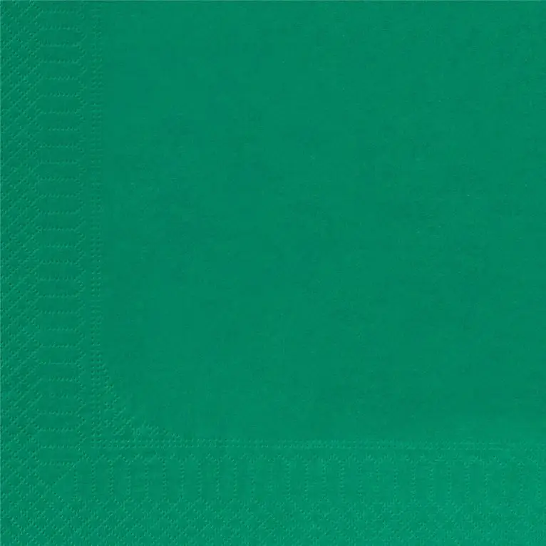 Serviette 30x39 Ouate Vert Lumière /100