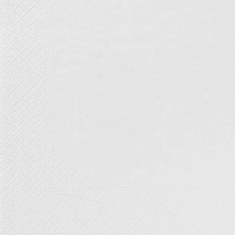 Serviette 20x20 Ouate Blanc /4000