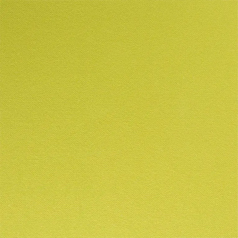 Serviette 40x40 R'Soft Chartreuse /50