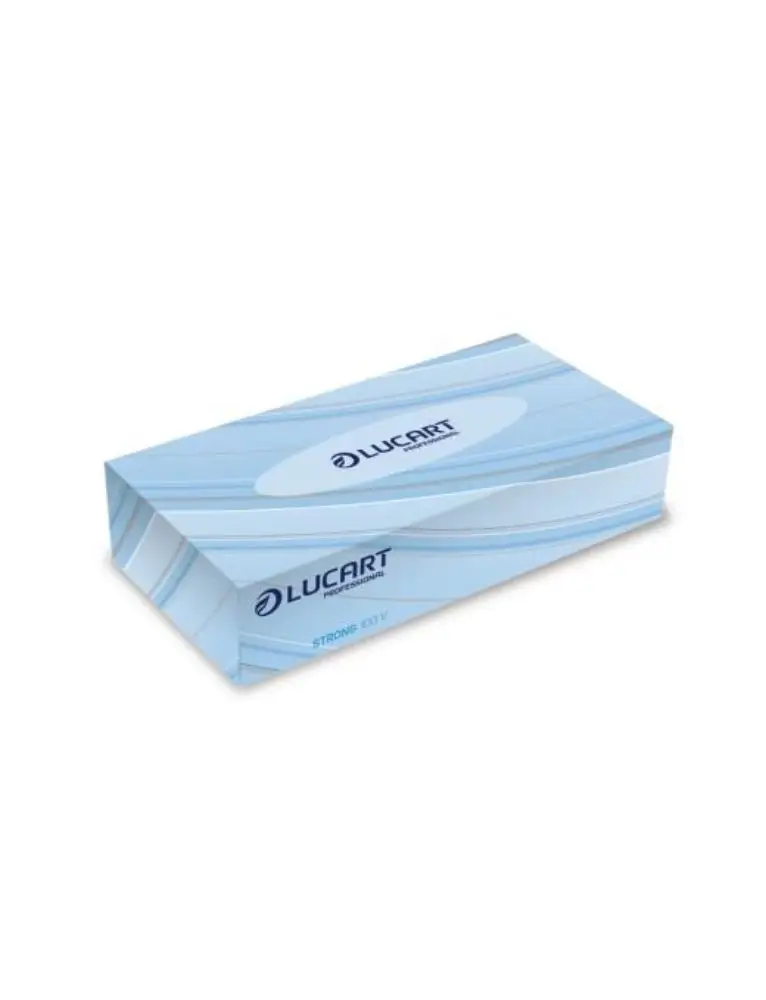 Boite 100 Mouchoirs 2 Plis