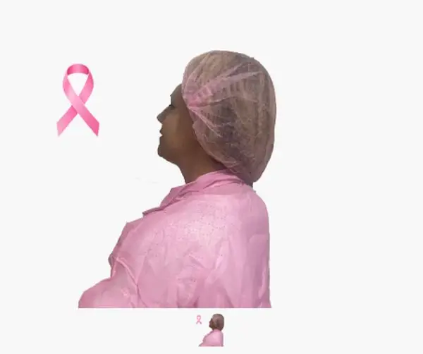 Charlotte Clip Rose 48cm /100